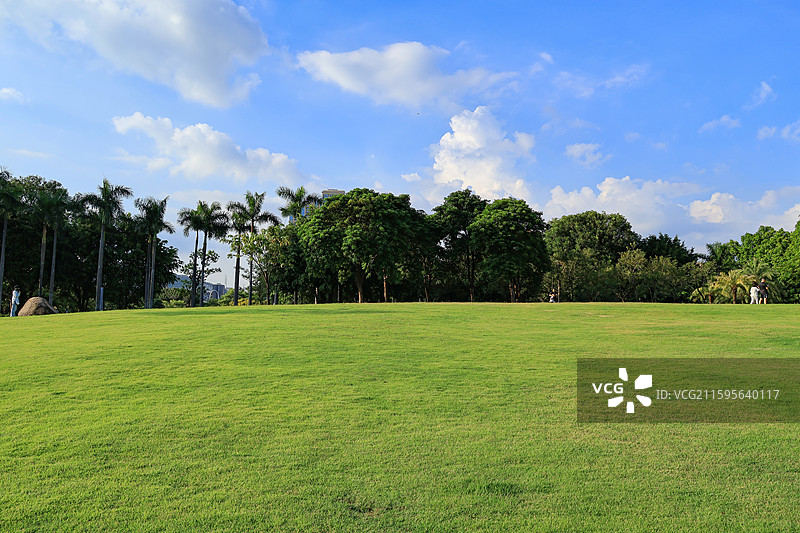 深圳香蜜公园大草坪，绿道，跑道，绿化带，行人旅游，栾树，树木成荫，湖边，蓝天，城市建筑图片素材