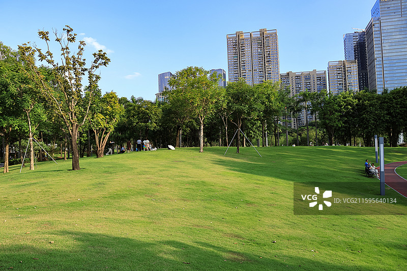 深圳香蜜公园大草坪，绿道，跑道，绿化带，行人旅游，栾树，树木成荫，湖边，蓝天，城市建筑图片素材