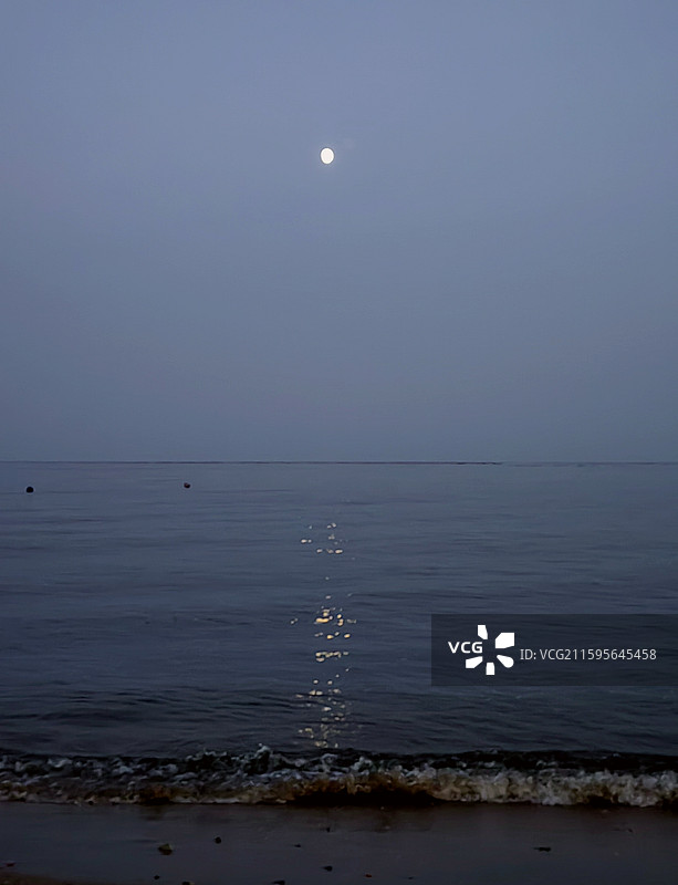 月亮撒金——拍摄于辽宁葫芦岛东戴河图片素材
