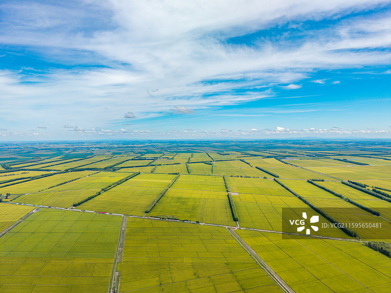 中国黑龙江省佳木斯市富锦市建三江垦区北大荒三江平原东北大米稻田高视角航拍图图片素材