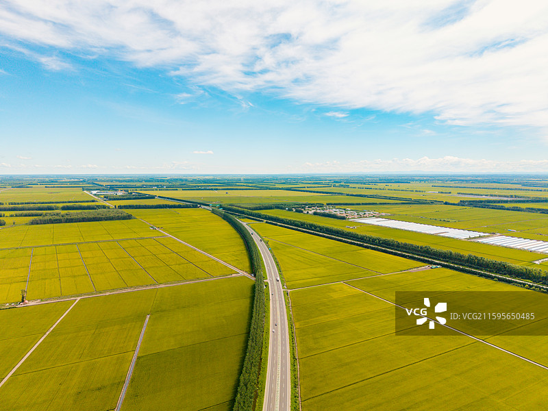 中国黑龙江省佳木斯市富锦市建三江垦区北大荒三江平原东北大米稻田高视角航拍图图片素材