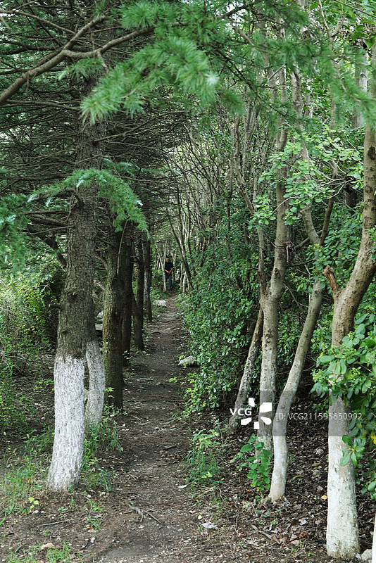 南京幕府山风光图片素材