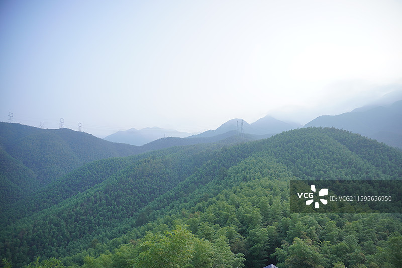 安吉大竹海图片素材