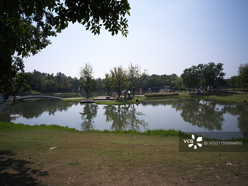 南京汤山矿坑公园·粉黛花海·粉黛乱子草图片素材