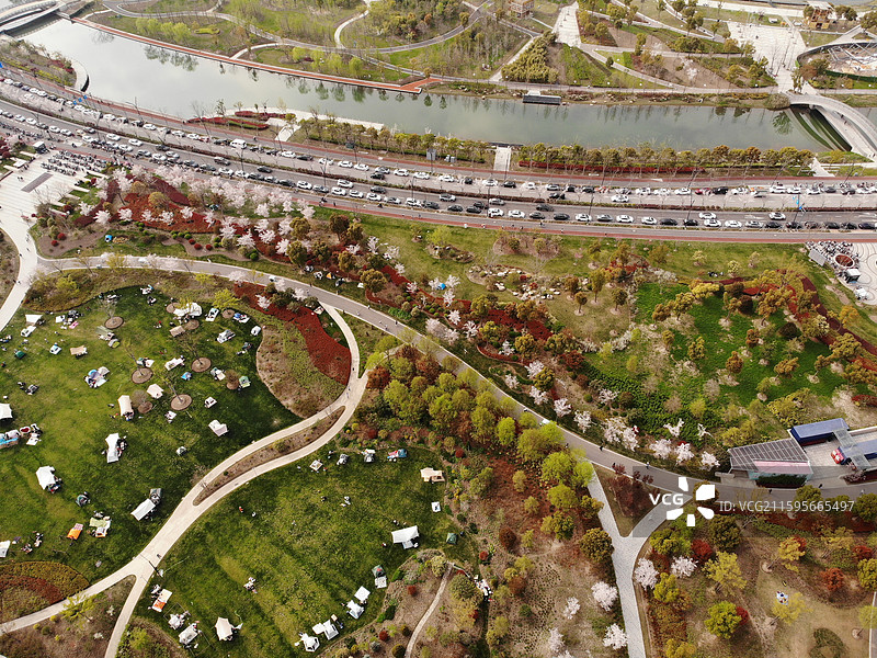 上海奉贤新城，上海之鱼景区，花好月圆大草坪，无人机航拍图片素材