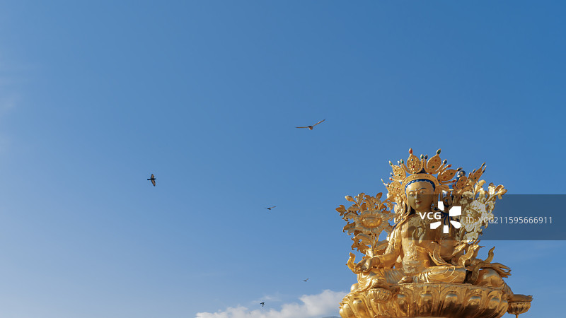 晨祷绿度母图片素材