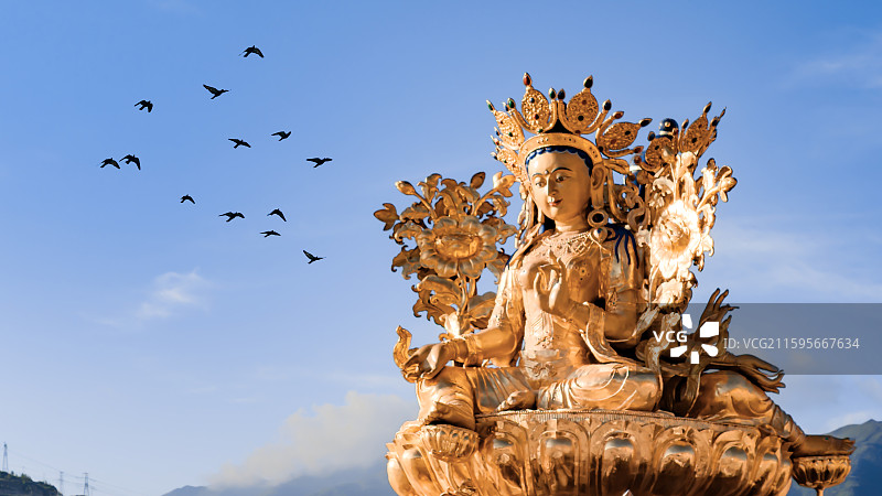 绿度母晨祷  飞鸽绕圣坛图片素材