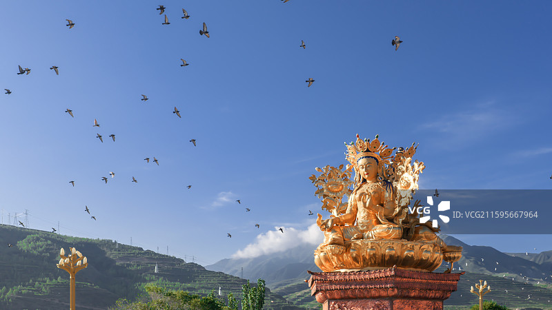 绿度母晨祷图片素材