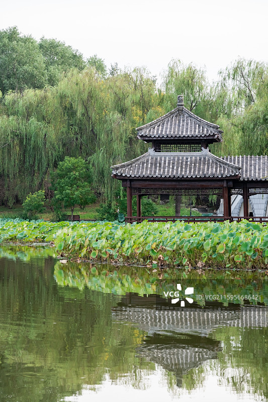 天津市津北森林公园风光图片素材