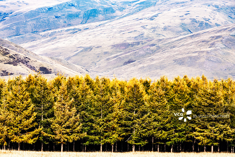 乌兰察布之红石崖秋色图片素材