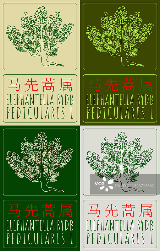 一套中国风的卡通大象插画，包含不同姿势和表情的大象，适合用于儿童读物、教育材料或装饰。图片素材