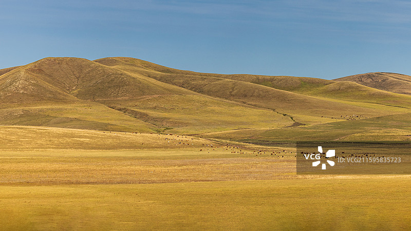 草原牧野图片素材