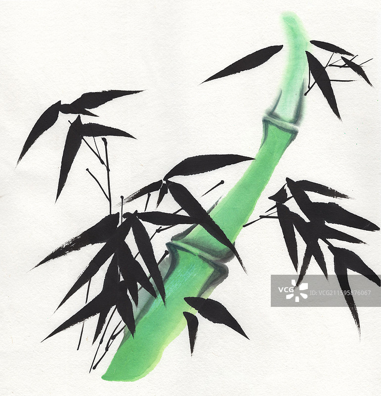 墨竹竹叶竹枝写意画国画插画图片素材