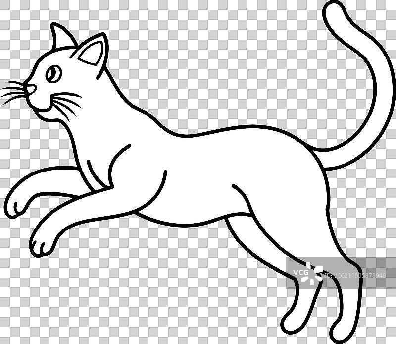 平头猫跳跃图标图片素材