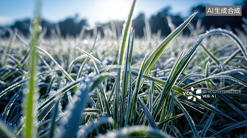 【AI数字艺术】霜覆盖的草地特写图片素材