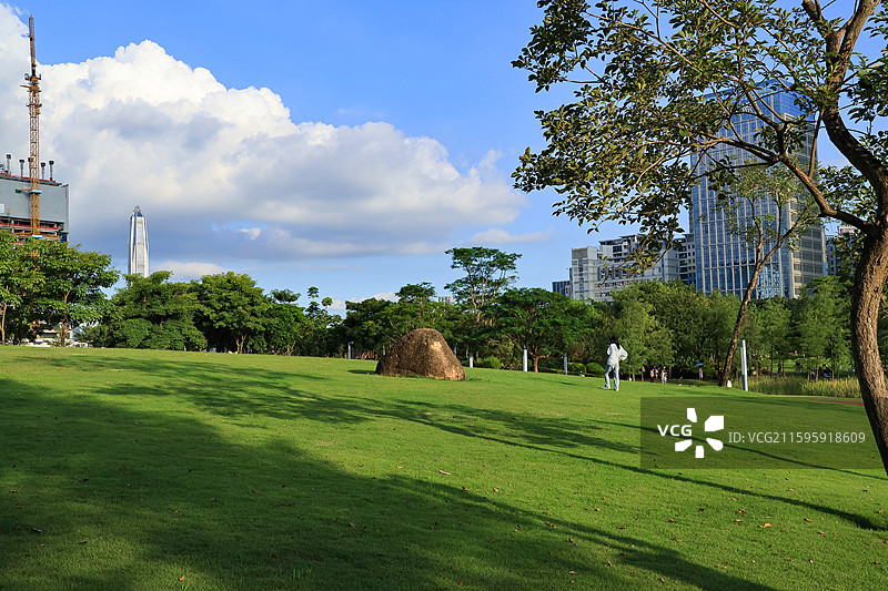 深圳香蜜公园大草坪，绿道，跑道，绿化带，行人旅游，栾树，树木成荫，湖边，蓝天，城市建筑图片素材