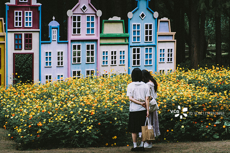 2025.10.4 中山植物园黄秋英、向日葵、栾树、松柏园图片素材