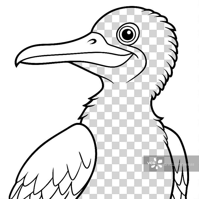 军舰鸟的笑脸图标图片素材