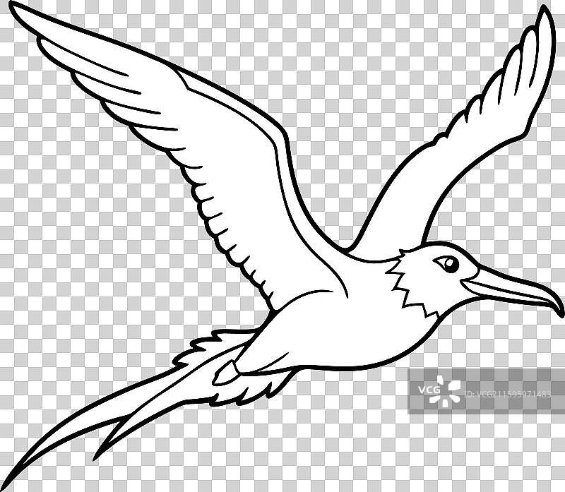 军舰鸟飞翔图标图片素材