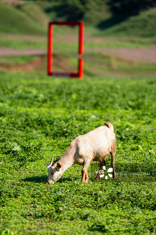 湖北恩施鳝孔坝（上空牧场）旅游度假区风光图片素材