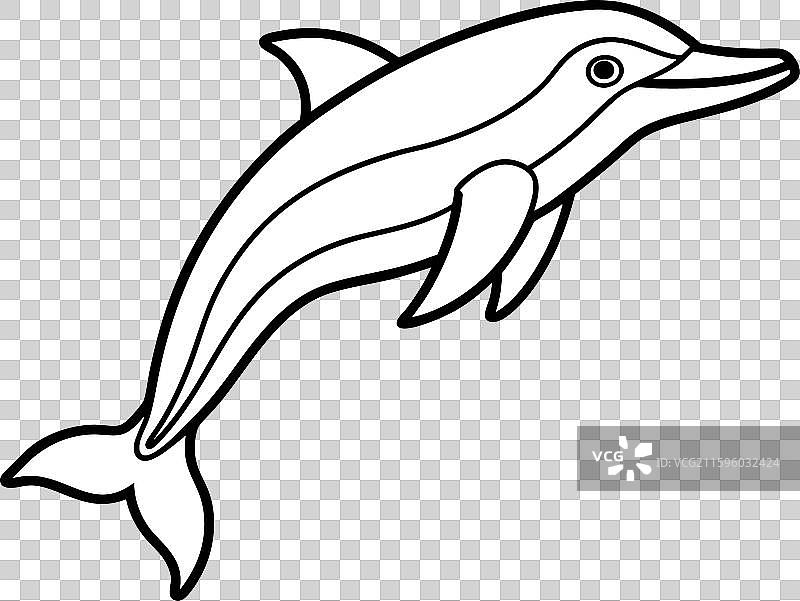 加拉帕戈斯小须鲸跳跃图标图片素材