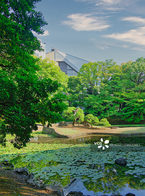 夏末的小石川后乐园-日本传统庭院图片素材
