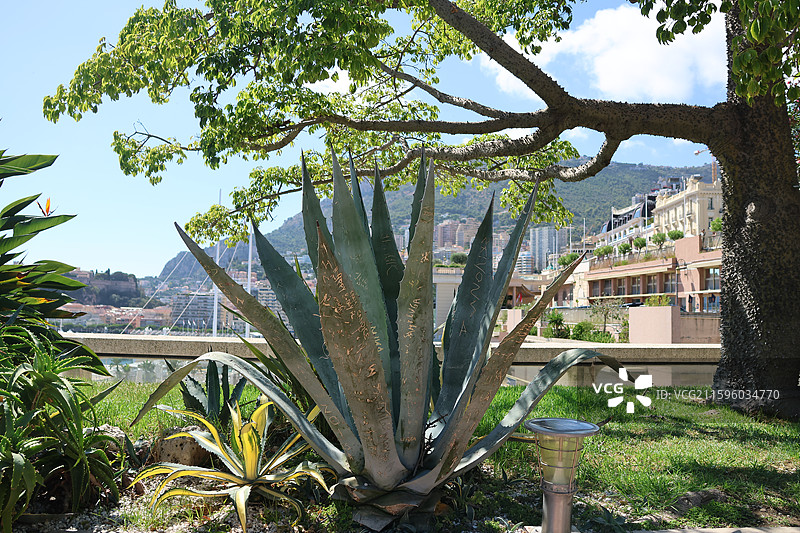 摩纳哥全景：蒙特卡洛赌场、摩纳哥王宫瞰老城，F1 赛道穿街巷，拉沃托海滩映港口，圣尼古拉斯教堂与游艇图片素材