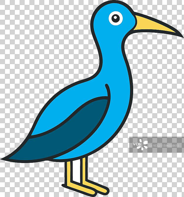 加拉帕戈斯秧鸡图标图片素材