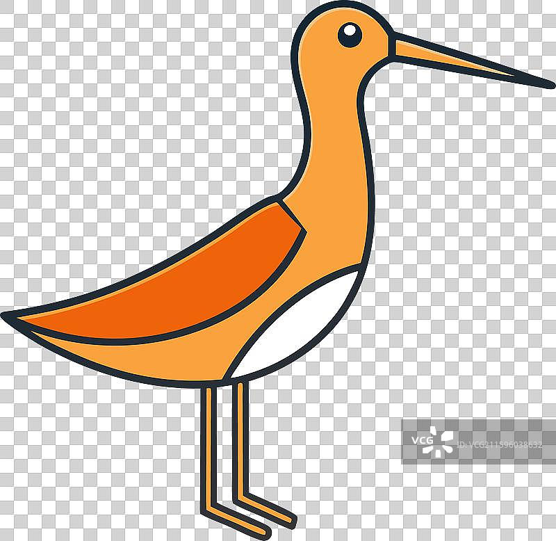 加拉帕戈斯秧鸡鸟敲击图标图片素材