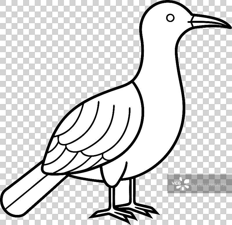 加拉帕戈斯秧鸡鸟的插画图标图片素材