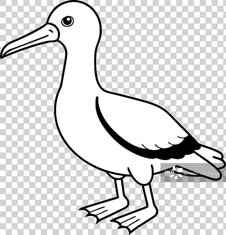 加拉帕戈斯秧鸡阅读图标图片素材