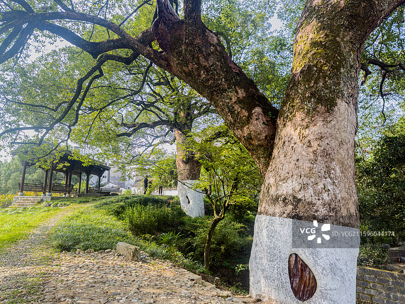 安徽省黄山市歙县昌溪古村图片素材