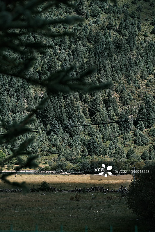 国庆时节川西美景与土拨鼠图片素材