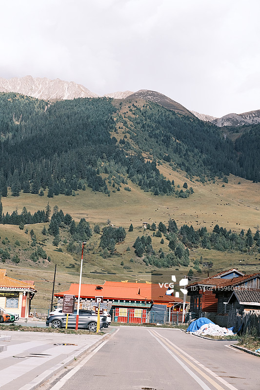 国庆时节川西美景与土拨鼠图片素材