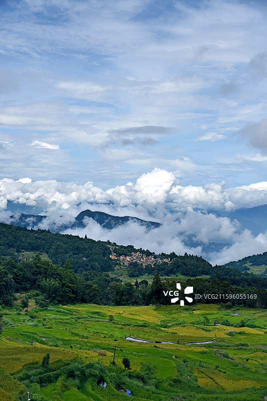 元阳箐口梯田景区图片素材