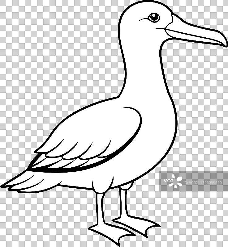 加拉帕戈斯信天翁站立图标图片素材