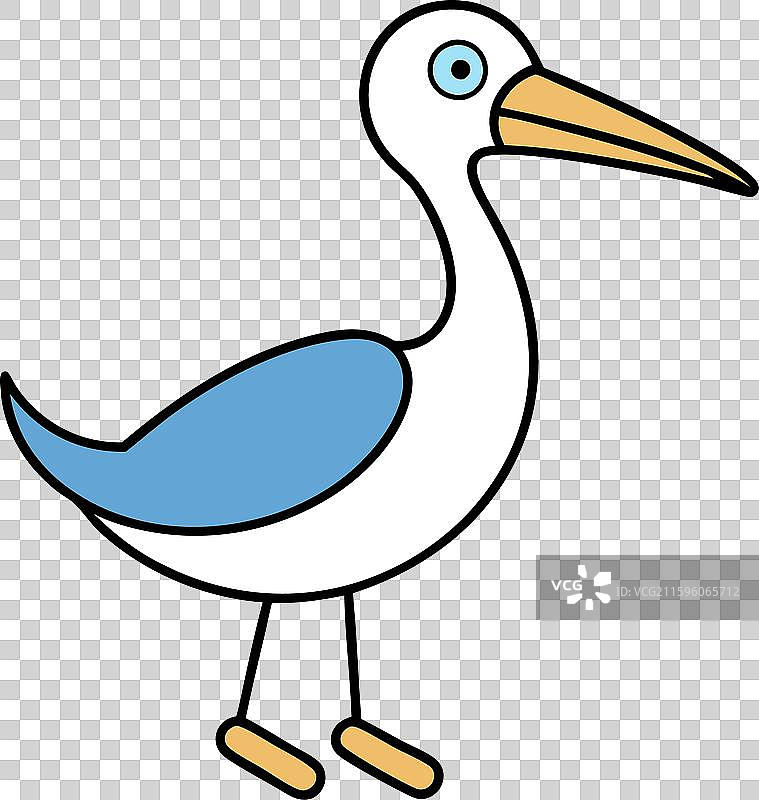 加拉帕戈斯白腰杓鹬鸟玩耍图标图片素材