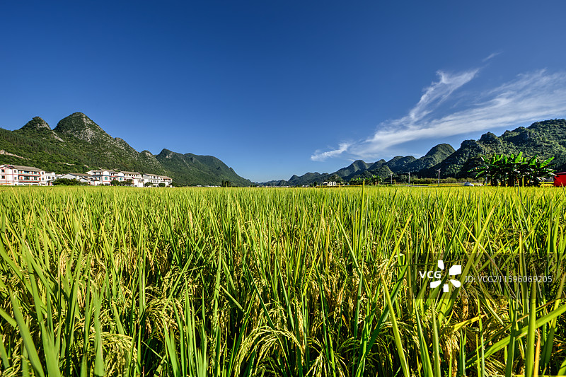 兴义万峰林图片素材
