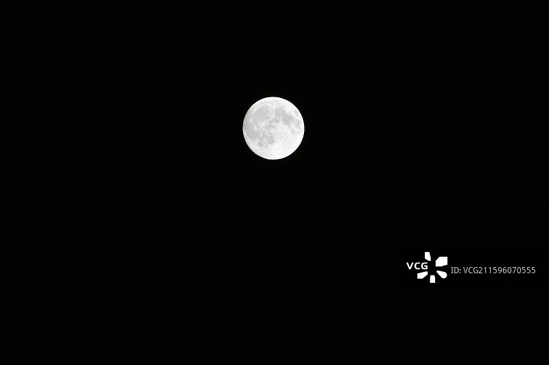 中秋圆月疏影图片素材