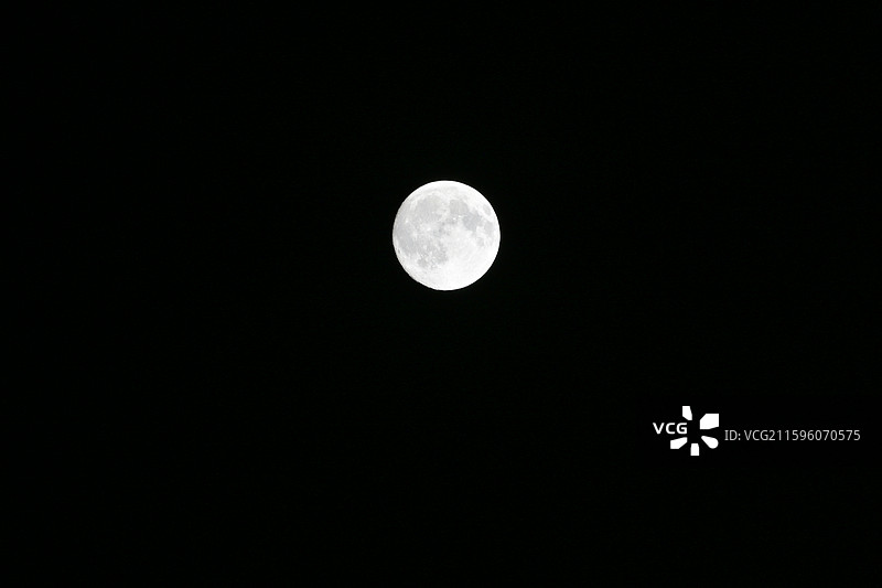 中秋圆月疏影图片素材