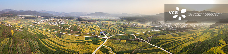 初春时节的隆阳区丙麻乡油菜花田图片素材