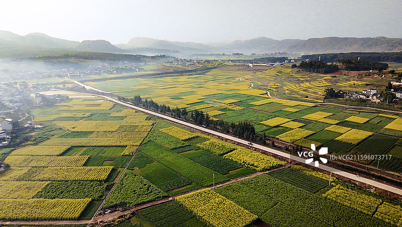 初春时节的隆阳区丙麻乡油菜花田图片素材