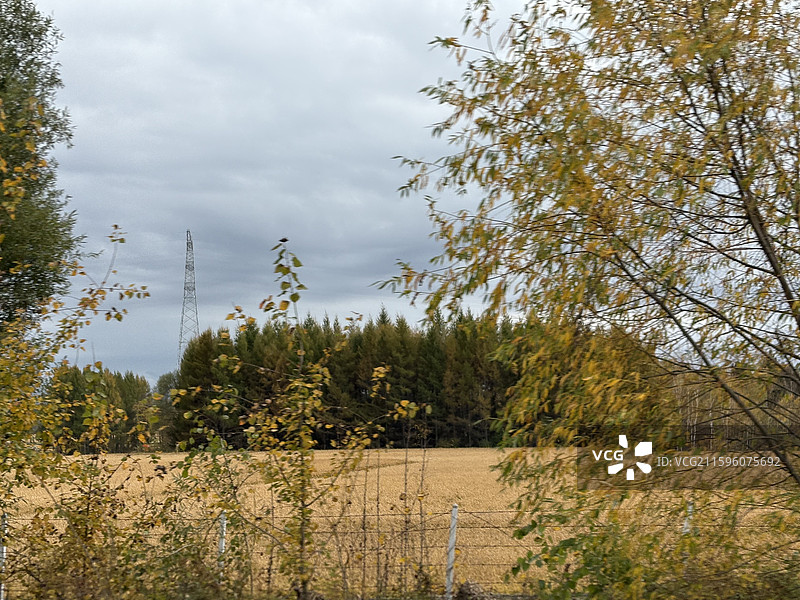 小兴安岭伊春的秋景。兴安森林公园景区。兴安塔，五花山，五色山图片素材