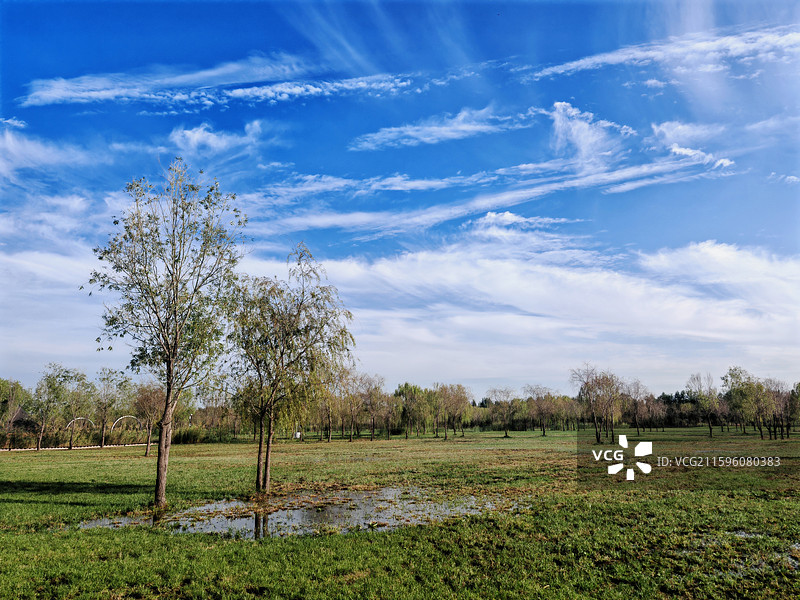 秋高气爽的宁河七星岛湿地公园图片素材