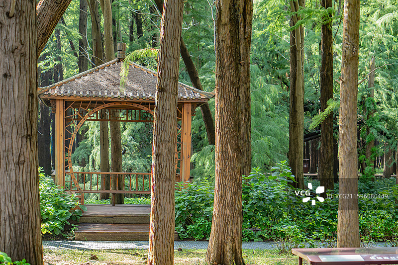 泰州里下河国家湿地公园的林间建筑和凉亭图片素材