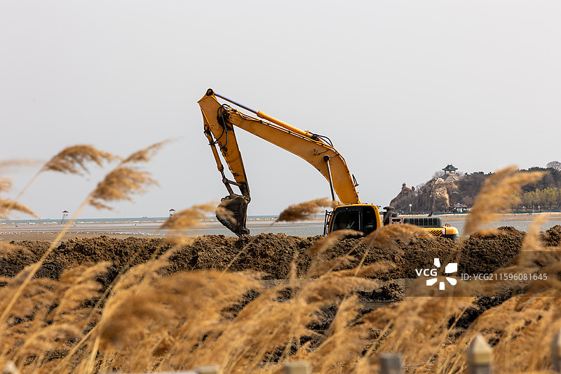 秦皇岛渤海海滩芦苇荡胶泥滩上工作中的挖掘机钩机图片素材