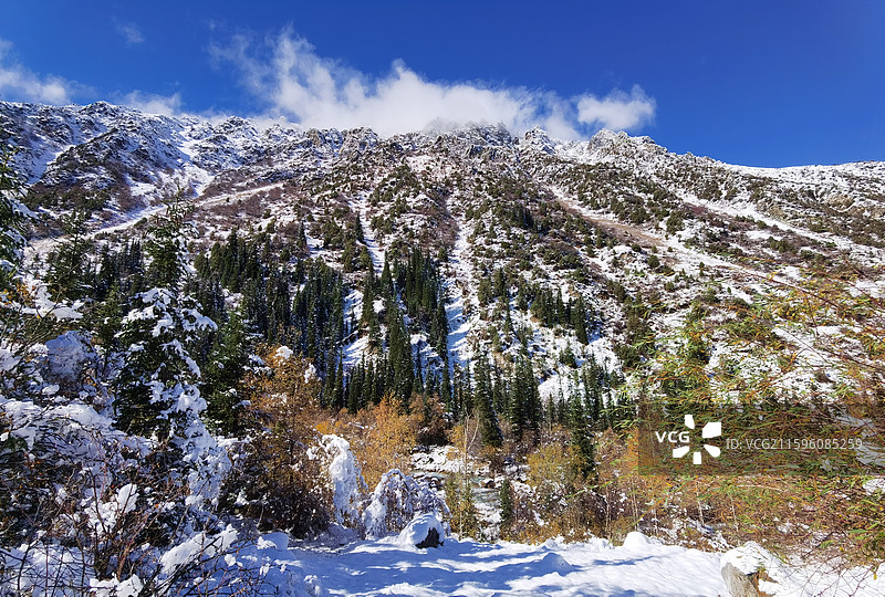 阿拉阿查峡谷图片素材
