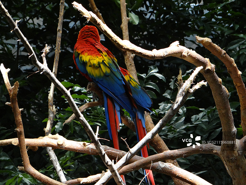 蒙特利尔之旅2图片素材