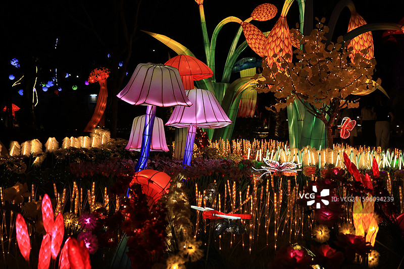 深圳光明农场大观园的夜景后花园，昆虫，蘑菇，小麦，发财树，蝴蝶，水母，霓虹灯，灯会图片素材