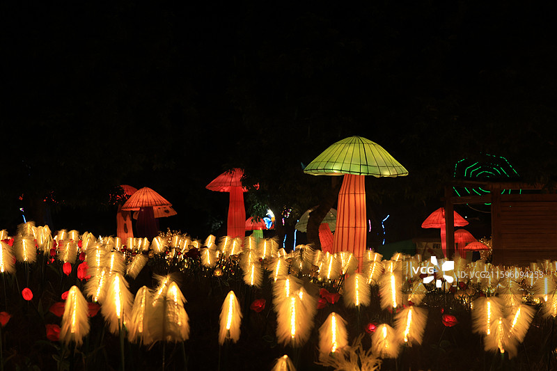 深圳光明农场大观园的夜景后花园，昆虫，蘑菇，小麦，发财树，蝴蝶，水母，霓虹灯，灯会图片素材